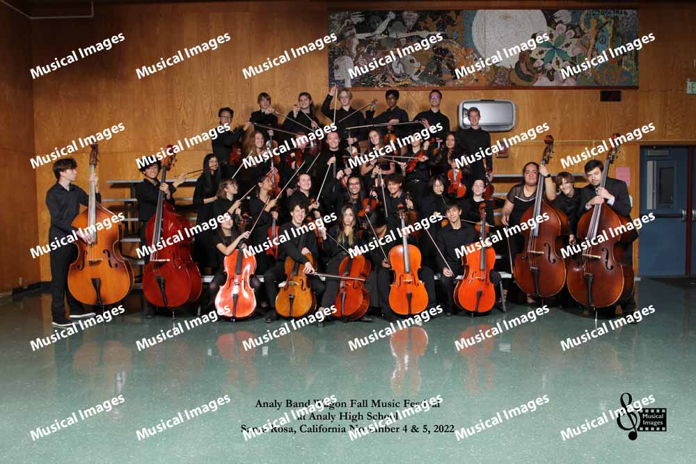 Musical Images